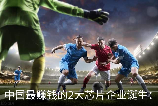 中国最赚钱的2大芯片企业诞生：创造历史！全年利润要超4000亿？